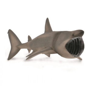 CollectA - Toy Replica - Basking Shark