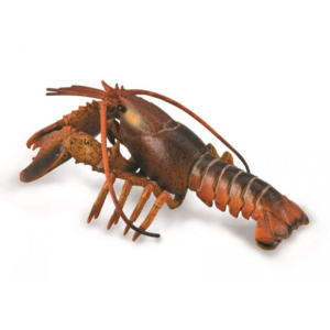 CollectA - Toy Replica - Lobster