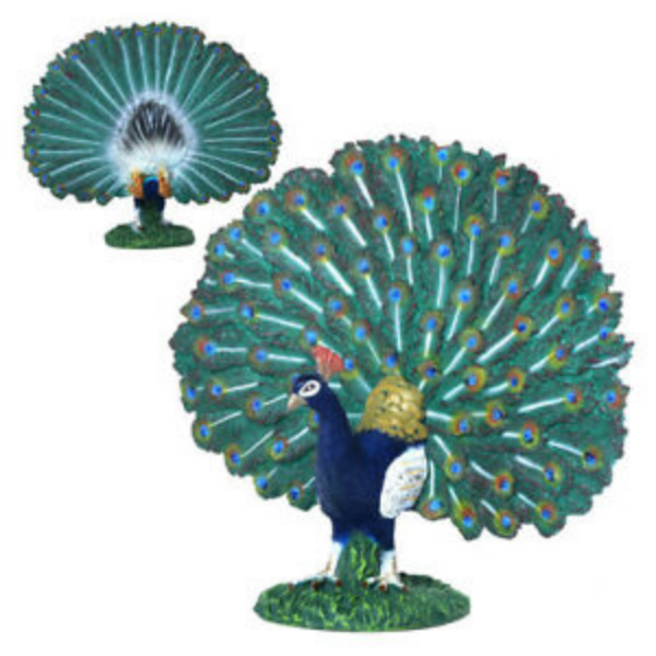 CollectA - Toy Replica - Peacock