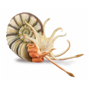 CollectA - Toy Replica - Pleuroceras Ammonite