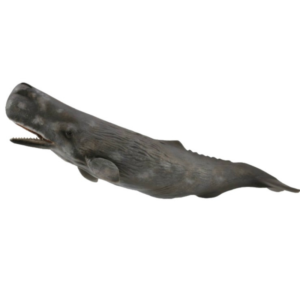 CollectA - Toy Replica - Sperm Whale
