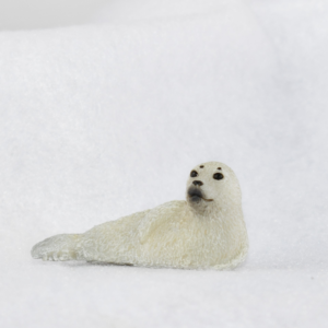 CollectA - Toy Replica - Spotted Seal Pup