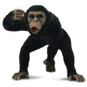CollectA - Toy Replica - Chimpanzee Male