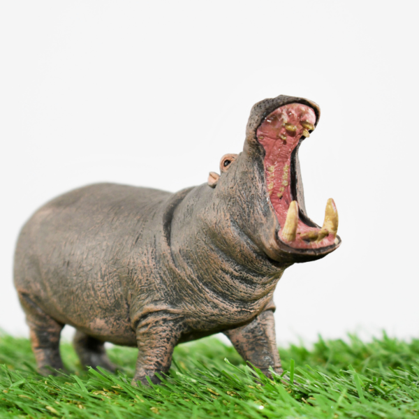 CollectA - Toy Replica - Hippopotamus
