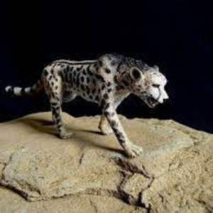 CollectA - Toy Replica - King Cheetah