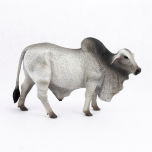 CollectA - Toy Replica - Brahman Bull Grey