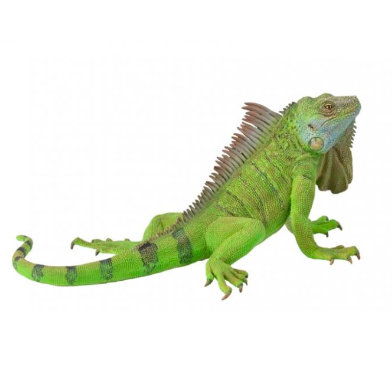 CollectA - Toy Replica - Iguana - Our Past Times