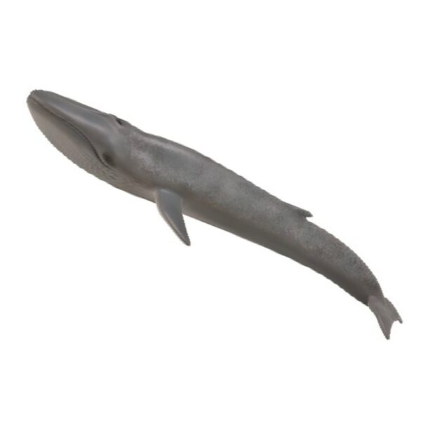 Collecta Toy Replica Blue Whale Our Past Times