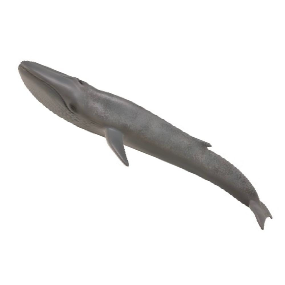 CollectA - Toy Replica - Blue Whale - Our Past Times