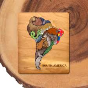 Animal Magic - South America