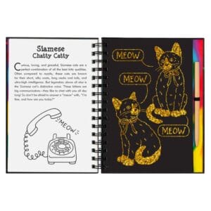 Peter Pauper Press - Scratch and Sketch - Kittens