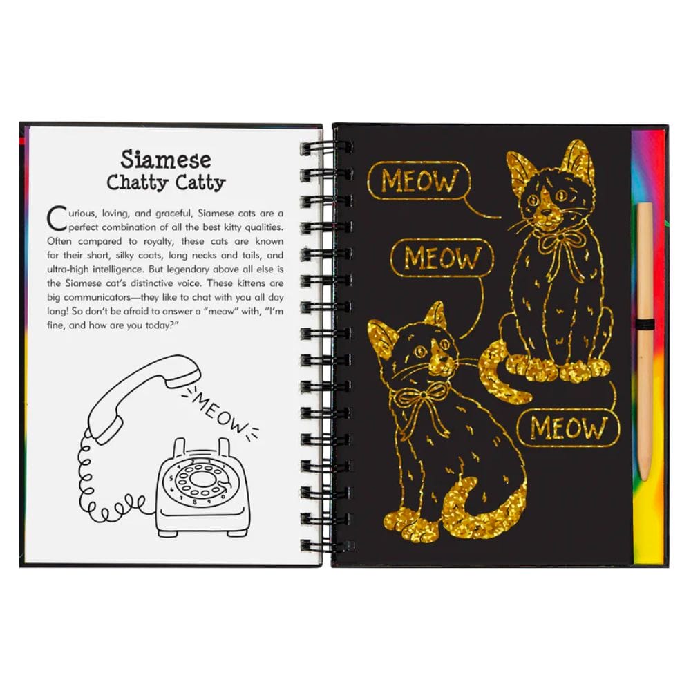 Peter Pauper Press - Scratch and Sketch - Kittens