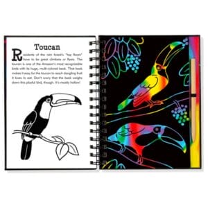 Peter Pauper Press - Scratch and Sketch - Rain Forest