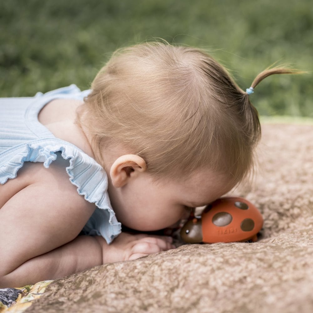 Tikiri Natural Rubber Ladybug Baby Toy
