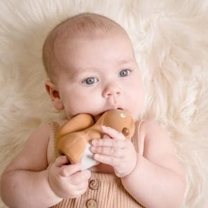 Tikiri Natural Rubber Squirrel Baby Toy