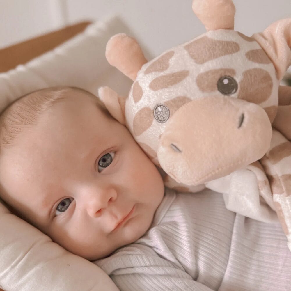 Love by Emi - Shay the Giraffe