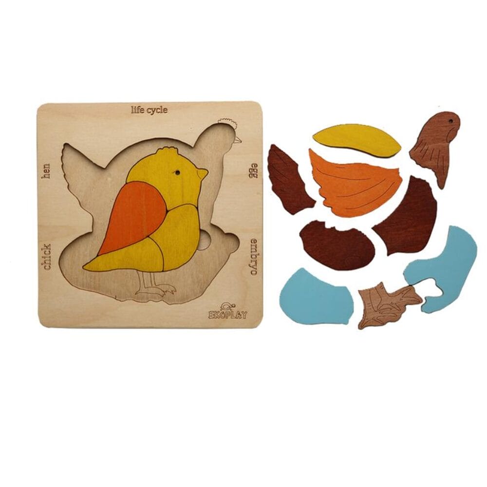 Ekoplay - Jigsaw - Lifecycle of Chicken