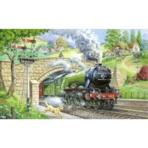 House of Puzzles - 250 XL Pieces - Train Spotting