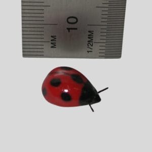 TMT Imports - Miniature - Small Ladybug
