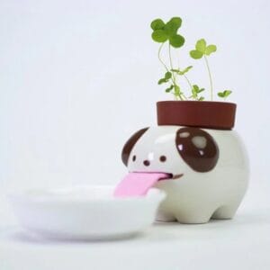 Seishin - Growing Kit - Peropon Dog - White Clover