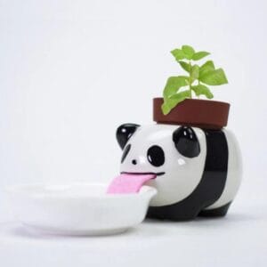 Seishin - Growing Kit - Peropon Panda - Sweet Basil