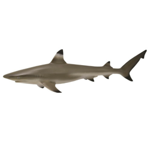CollectA – Toy Replica – Blacktip Reef Shark