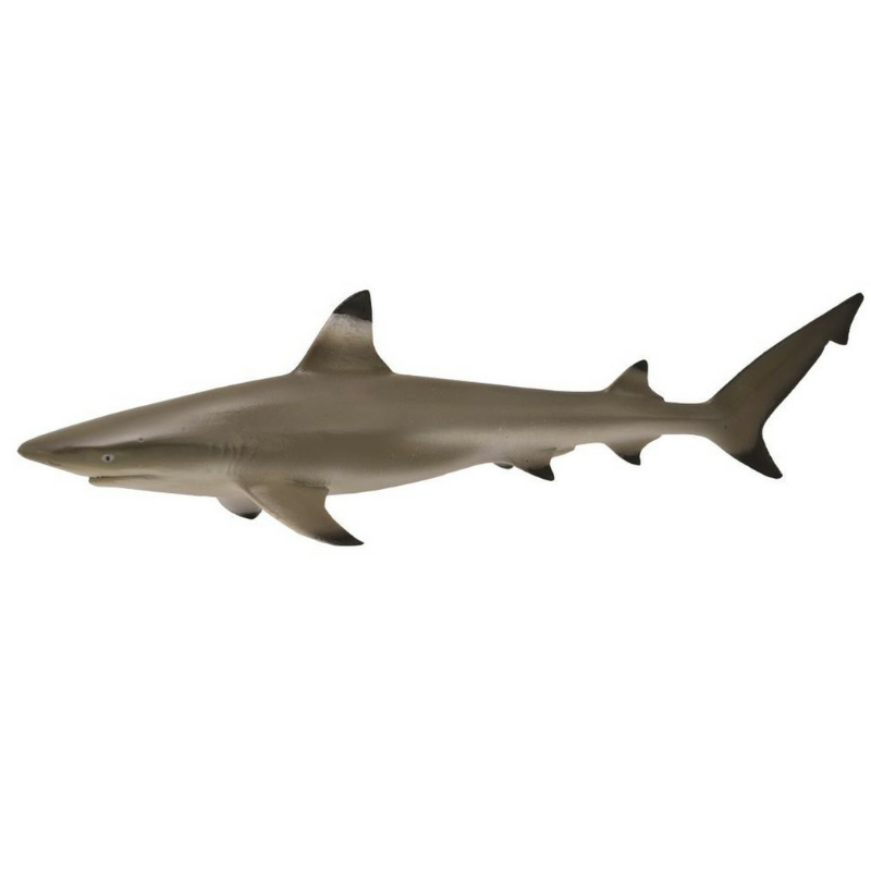 CollectA – Toy Replica – Blacktip Reef Shark