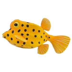CollectA – Toy Replica – Boxfish