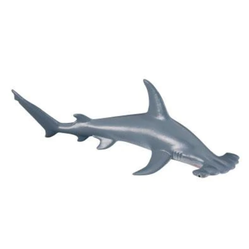 CollectA – Toy Replica – Scalloped Hammerhead Shark