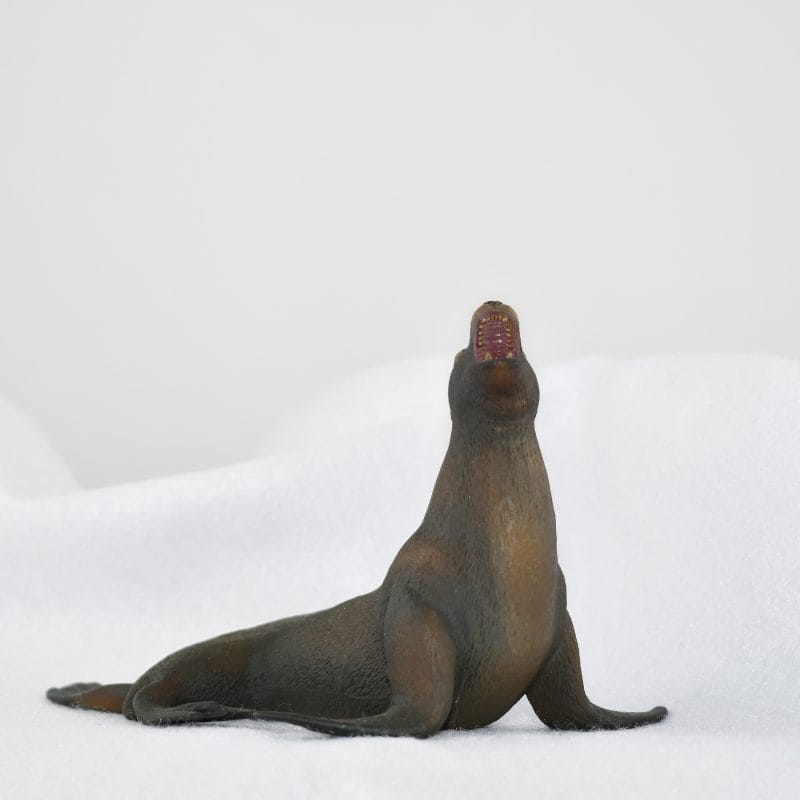 CollectA – Toy Replica – Sea Lion