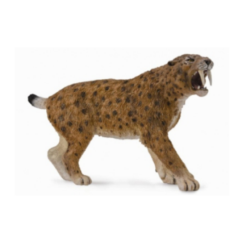 CollectA – Toy Replica – Smilodon