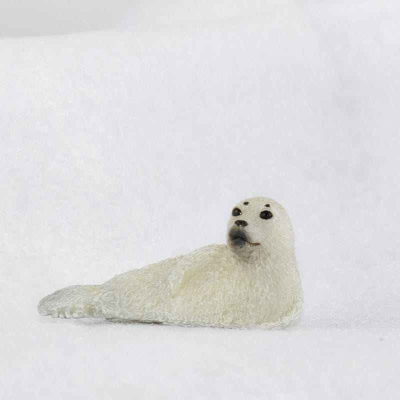 CollectA – Toy Replica – Spotted Seal Pup