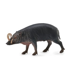 CollectA – Toy Replica – Sulawesi Babirusa