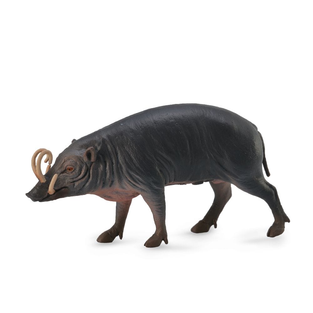 CollectA – Toy Replica – Sulawesi Babirusa