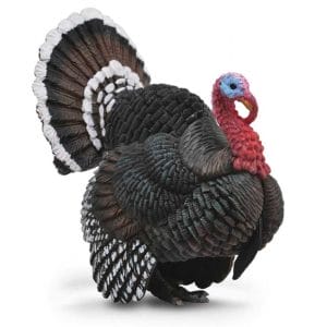 CollectA – Toy Replica – Turkey