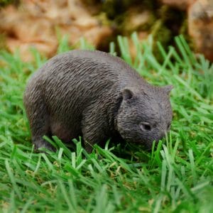 CollectA – Toy Replica – Wombat