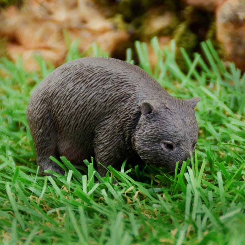 CollectA – Toy Replica – Wombat