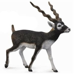 CollectA – Toy Replica – Blackbuck