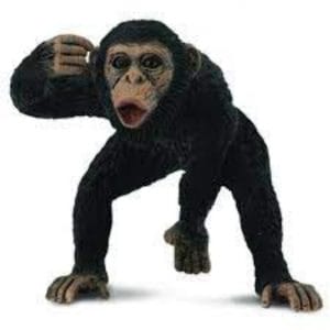 CollectA – Toy Replica – Chimpanzee Male