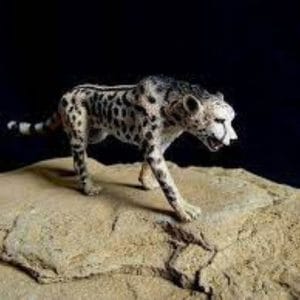 CollectA – Toy Replica – King Cheetah
