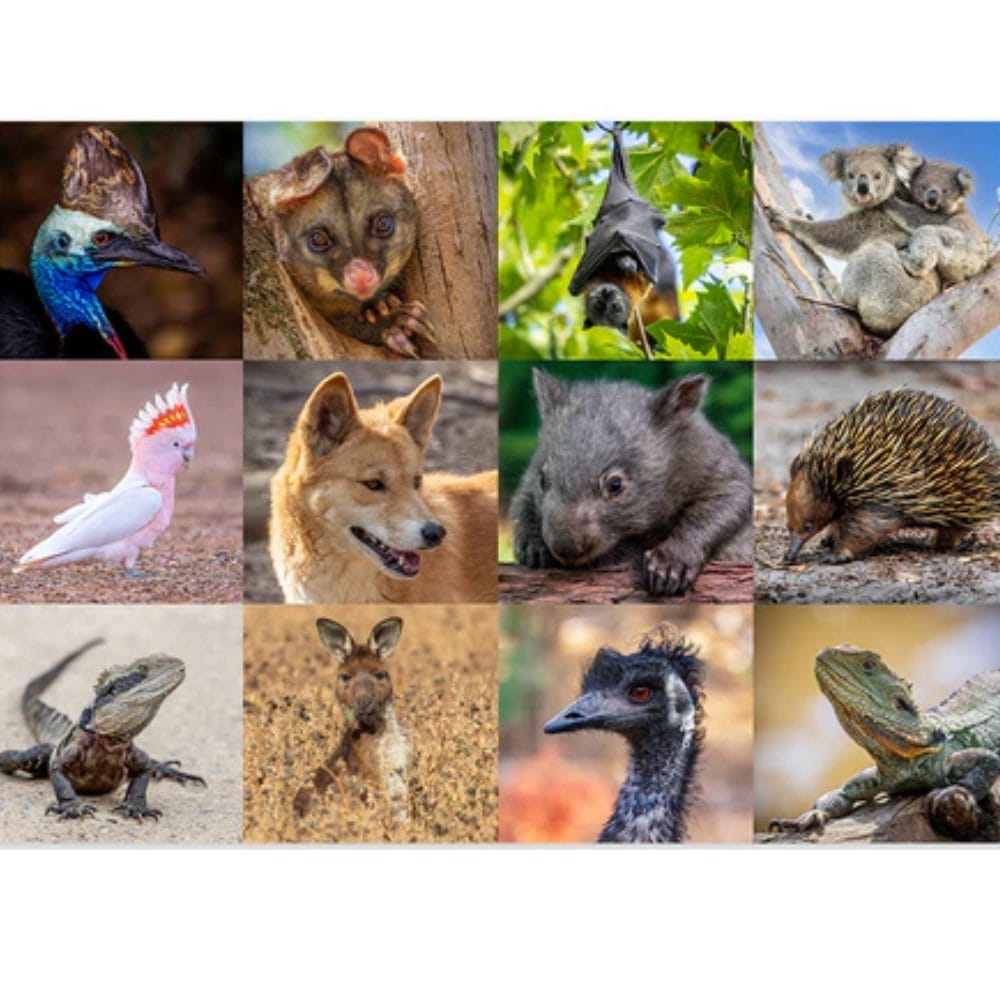 Lotje McDonald 1000 Piece Jigsaw Puzzle – Australian Native Fauna