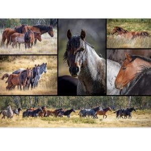 Lotje McDonald 1000 Piece Jigsaw Puzzle – Brumbies Kosciuszko NP