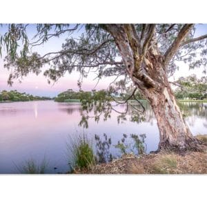 Lotje McDonald 1000 Piece Jigsaw Puzzle – Lake Guthridge Moonrise