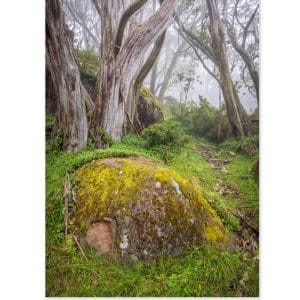 Lotje McDonald 1000 Piece Jigsaw Puzzle – Mt Baw Baw Beauty