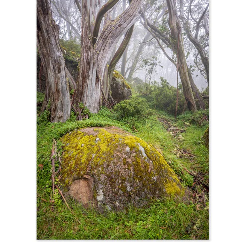 Lotje McDonald 1000 Piece Jigsaw Puzzle – Mt Baw Baw Beauty