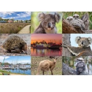 Lotje McDonald 1000 Piece Jigsaw Puzzle – Raymond Island