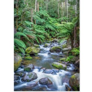 Lotje McDonald 1000 Piece Jigsaw Puzzle – Toorongo River Noojee