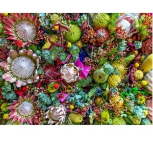 Lotje McDonald 500 Piece Large-Format Jigsaw Puzzle – Australian Native Summer Flowers