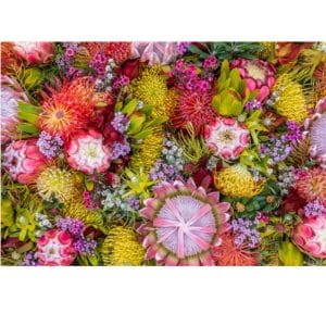 Lotje McDonald 500 Piece Large-Format Jigsaw Puzzle – Australian Summer Wildflowers