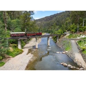 Lotje McDonald 1000 Piece Jigsaw Puzzle – Walhalla Historic Train